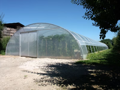 Kas en tunnelfolies